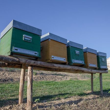 Вілла Cascina Rueral Montafia Екстер'єр фото